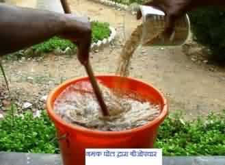 नमक के घोल से बीजोपचार
