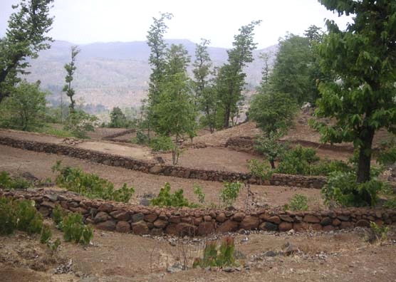 Graded bunding of agricultural field