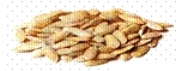 Muskmelon seeds