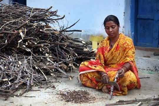 लाख का निकालना