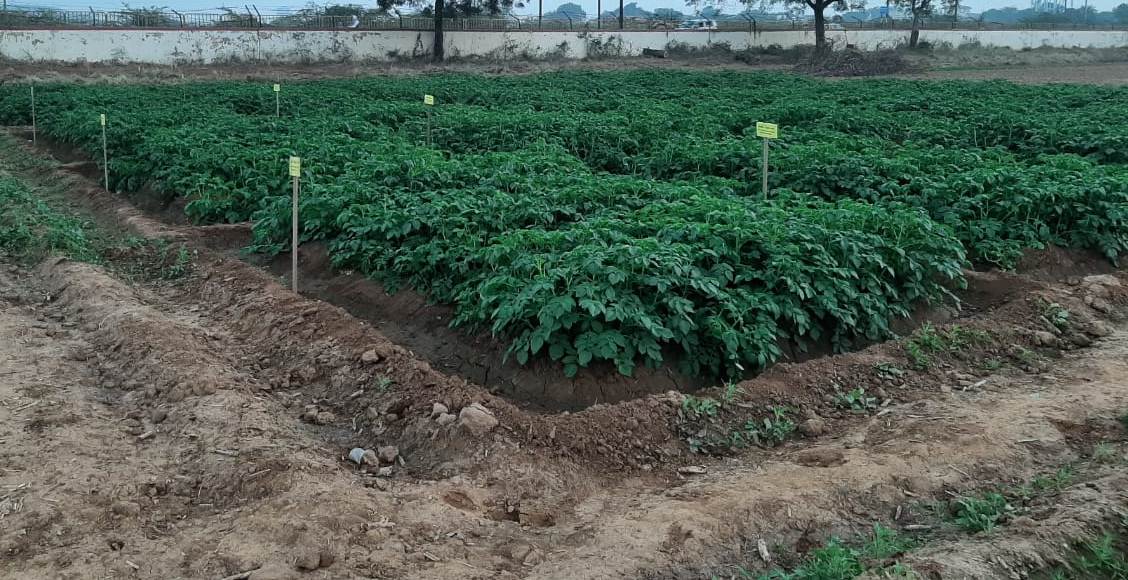 Field view of different spacing combinations