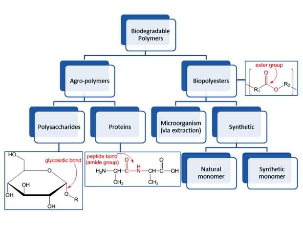 biodegradable polymers